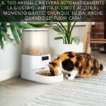 Animali, Kasanova lancia la “pet friendly zone”