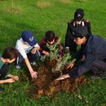 Ambiente, “Un albero per il futuro” approda alle isole Eolie