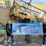 Gardaland Sea Life Aquarium nuovo ambasciatore Life European Sharks