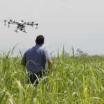 Torna Fieragricola Tech: focus su importanza dati in agricoltura